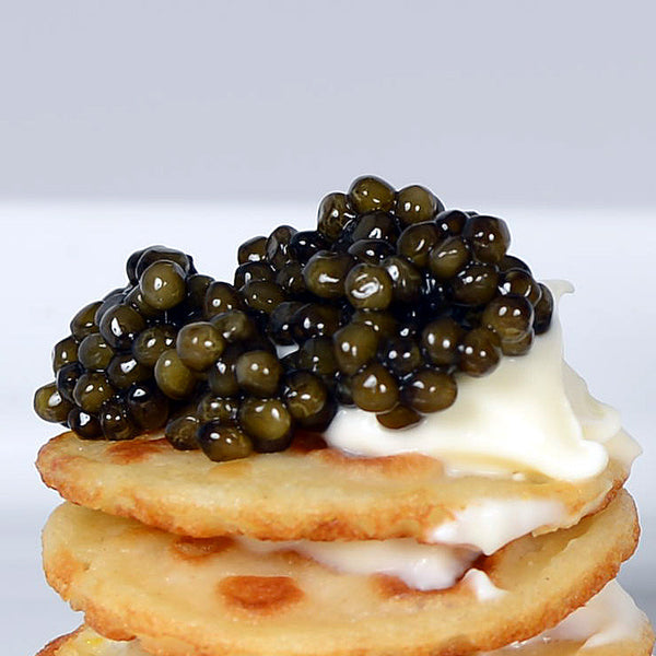 Kaluga Fusion Caviar