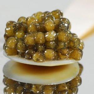 Russian Caviar for sale