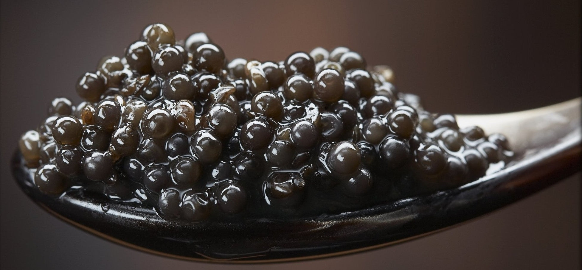 Caviar for Beginners