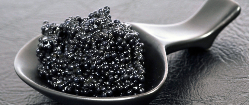 How to Choose the Right Caviar: A Complete Buyer’s Guide