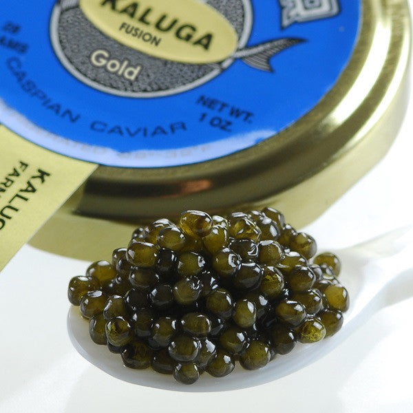 Kaluga Fusion Gold Caviar