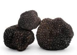 Fresh Burgundy Black Truffles